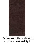 Darkened purpleheart